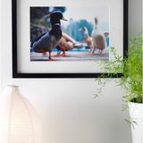 IKEA / IKEA RIBBA: frame black (003.784.55).