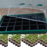 Mini Green House With 24 Cell Seed Tray Indoor Outdoor Garden Cuttings Growing.