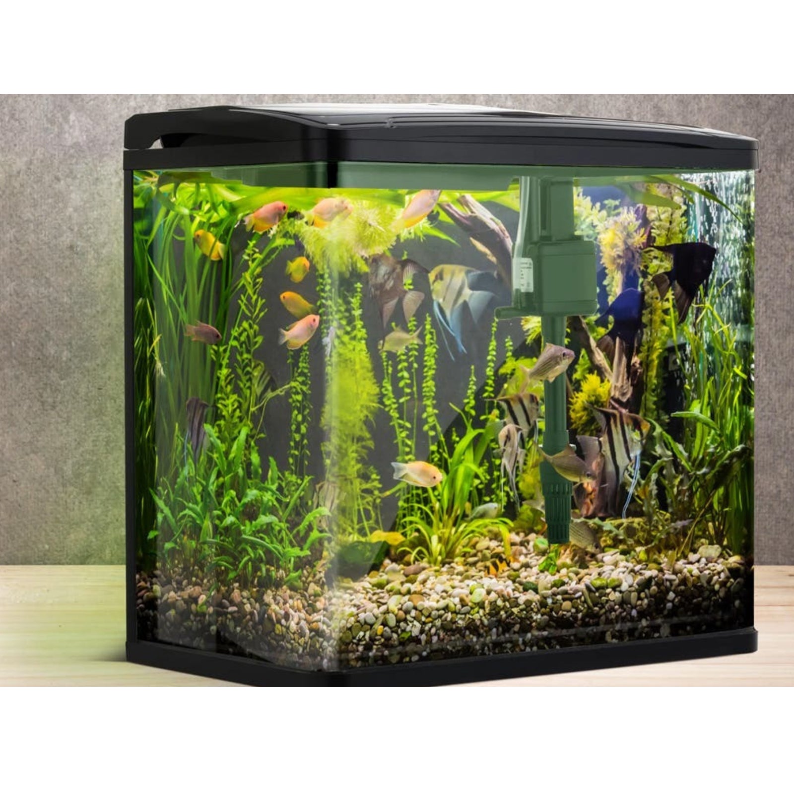 Aquarium Fish Tank Curved Glass RGB LED Light Complete Set Filter Pump thetopshopau