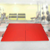 GYMNASTICS MARTIAL ARTS KARATE GYM MAT YOGA WRESTLING